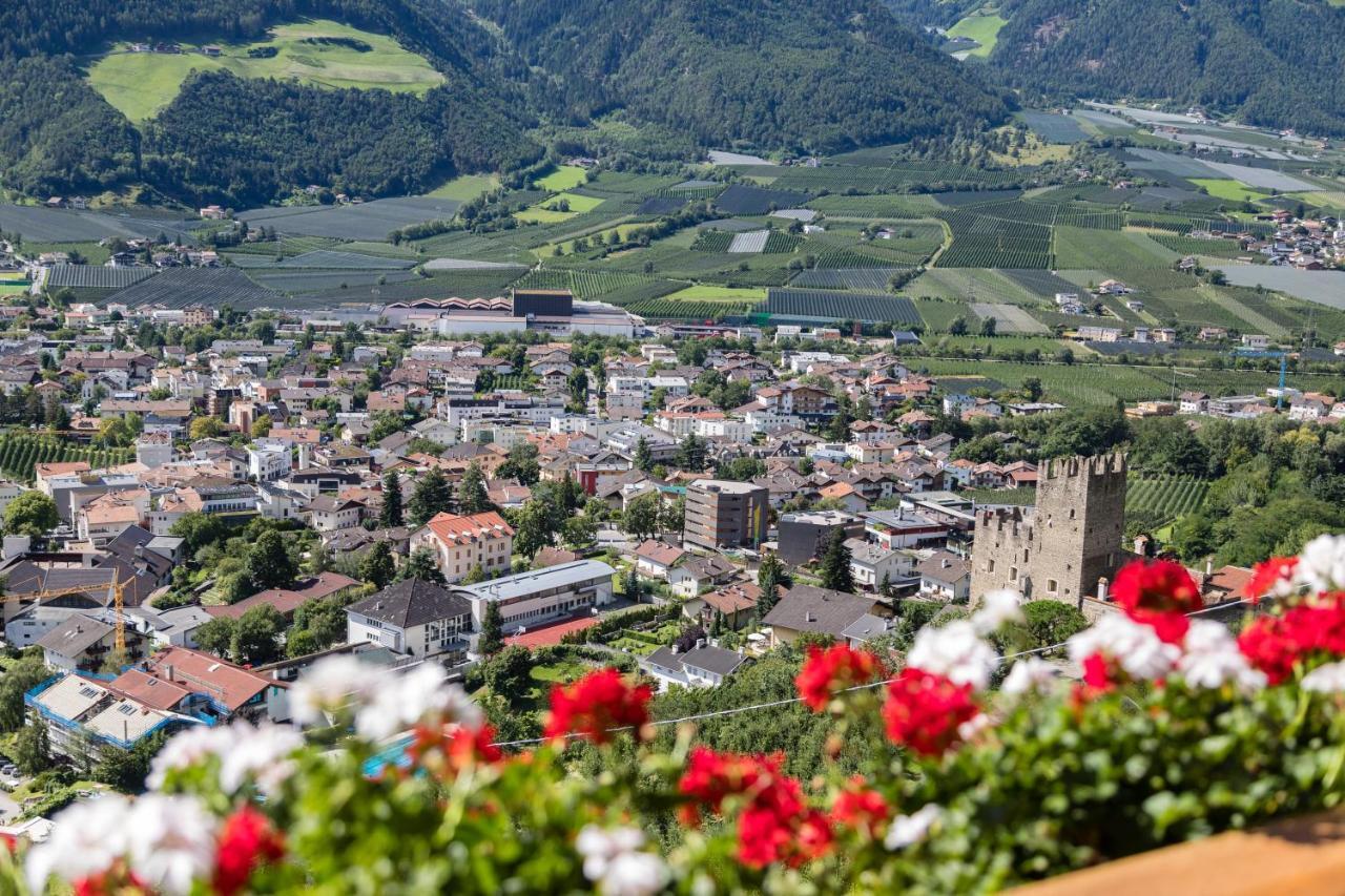 Gasthof Falkenstein 纳图尔诺 外观 照片